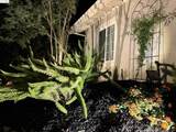 1443 Phantom Ave - Photo 55
