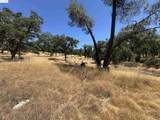 Vineyard Terrace Dr. - Photo 20