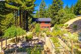 17900 Appian Way - Photo 49