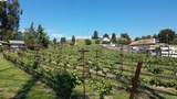 0 Fairview Dr. - Photo 18