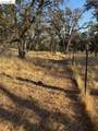 18891 Tanglewood Hollow Way - Photo 23