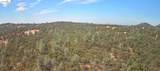 18891 Tanglewood Hollow Way - Photo 25