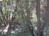 19290 Yosemite Springs Rd - Photo 9