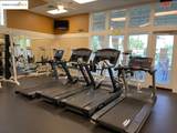 1182 Bacchini Ln - Photo 33