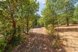 171 Connor Creek Rd - Photo 24