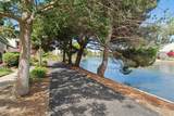 101 Carob Ln - Photo 37