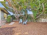 1162 136Th Ave - Photo 48