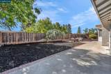 2404 Whitetail Dr - Photo 46