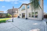 45 Nettle Ct - Photo 29