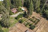 4481 Rush Creek Rd - Photo 52