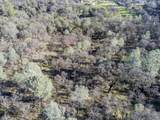14011 Neptune Ln - Photo 2