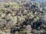 14011 Neptune Ln - Photo 4