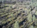 14011 Neptune Ln - Photo 5