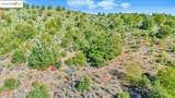 0000 Jackass Creek Rd - Photo 10