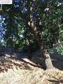 1032 Millbrook Ct - Photo 6