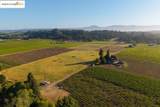 838 Dry Creek - Photo 23