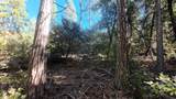 22443 Broken Bough Ln - Photo 3