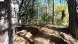 22443 Broken Bough Ln - Photo 4