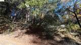 22443 Broken Bough Ln - Photo 6