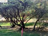   - Photo 19