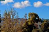 3099 Casadero Ct - Photo 21