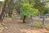 20638 Maranatha Rd. - Photo 55