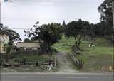26550 Hayward Blvd - Photo 1