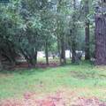6044 Skyline Blvd - Photo 5