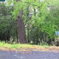 6044 Skyline Blvd - Photo 7