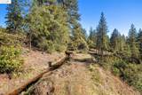 11210 Forest Park Rd - Photo 13