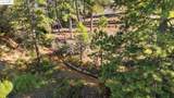 11210 Forest Park Rd - Photo 3