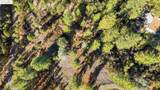 11210 Forest Park Rd - Photo 7