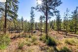 11210 Forest Park Rd - Photo 10
