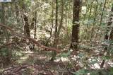 4271 State Hwy 299 Rd - Photo 11