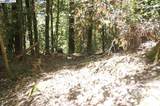 4271 State Hwy 299 Rd - Photo 13