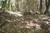 4271 State Hwy 299 Rd - Photo 14