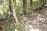 4271 State Hwy 299 Rd - Photo 10