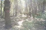 30 Suzy Q Rd - Photo 3