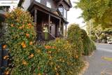 1633 8Th St - Photo 51