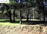 13137 Jackson Mill Dr - Photo 1