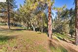6/235 Ferretti Rd - Photo 8