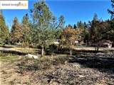 17290 Anderson St & Hwy 120 - Photo 25