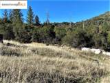 17290 Anderson St & Hwy 120 - Photo 29