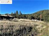 17290 Anderson St & Hwy 120 - Photo 30
