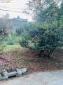 6622 Exeter Dr - Photo 6