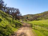 15676 Corral Hollow Rd - Photo 1