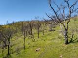 15676 Corral Hollow Rd - Photo 12