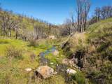 15676 Corral Hollow Rd - Photo 13
