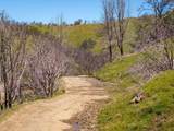 15676 Corral Hollow Rd - Photo 14