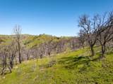 15676 Corral Hollow Rd - Photo 15